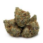 Golden Glue
