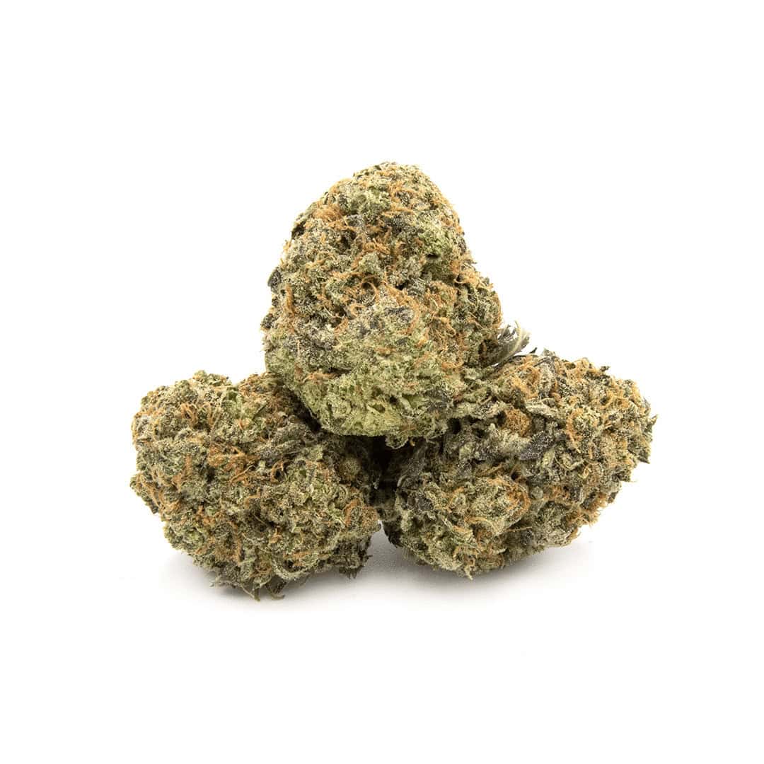 Grease Monkey
