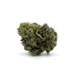 Gypsy Kush