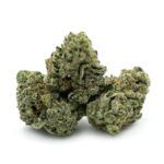 Gypsy Kush