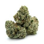 Gypsy Kush