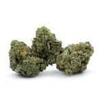 Gypsy Kush