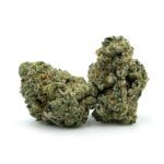 Gypsy Kush