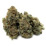 Aloha