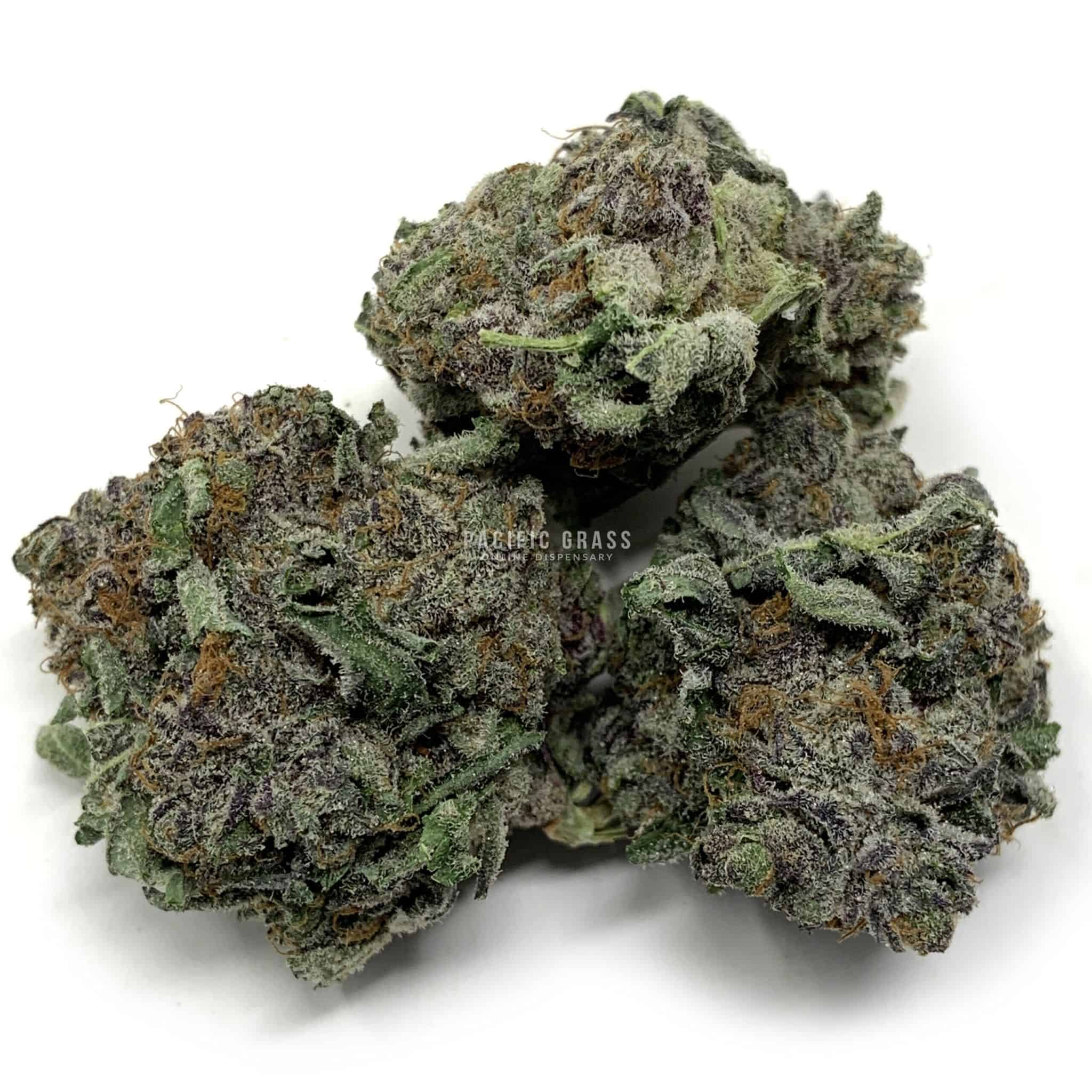 Granddaddy Purple Kush