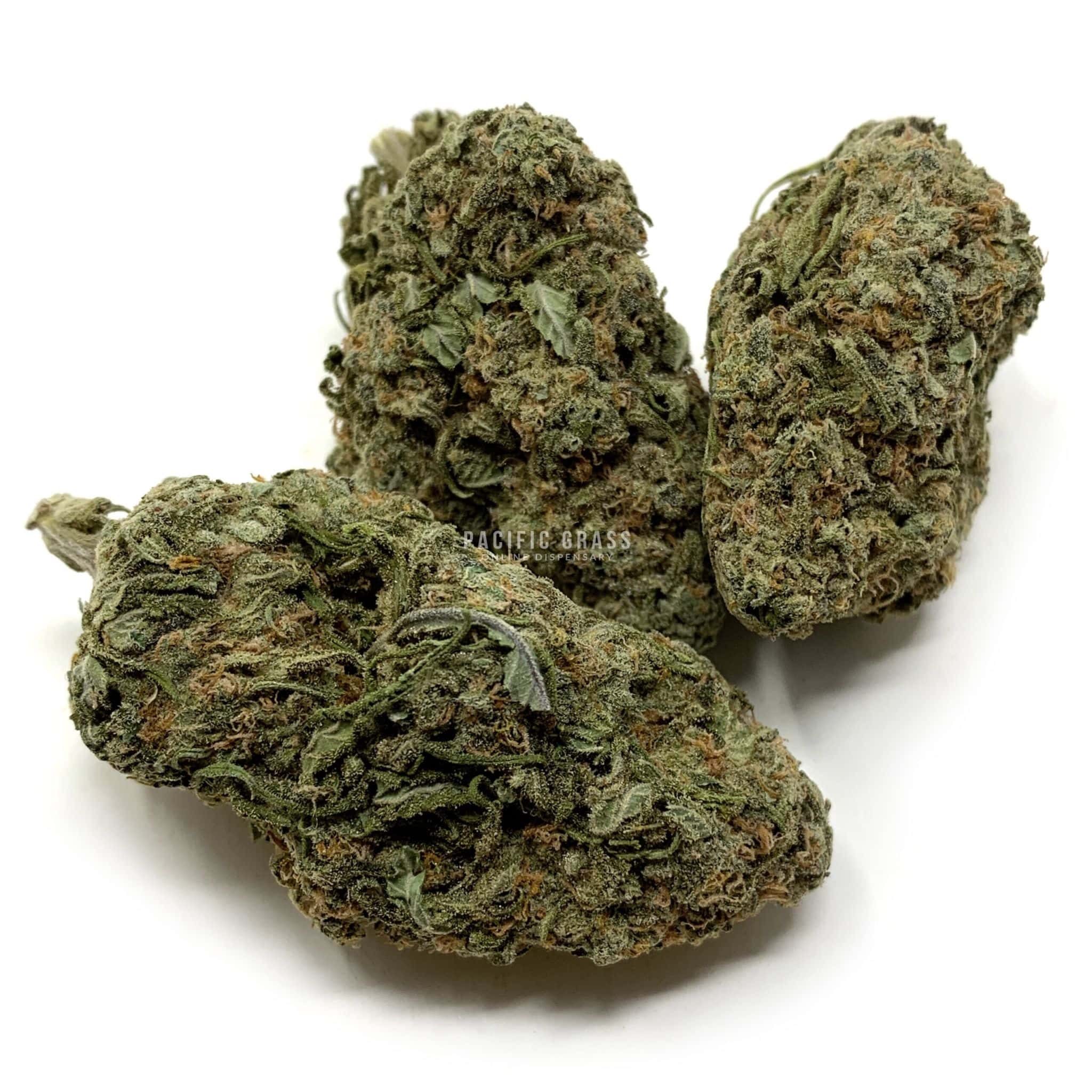 Blue Dynamite