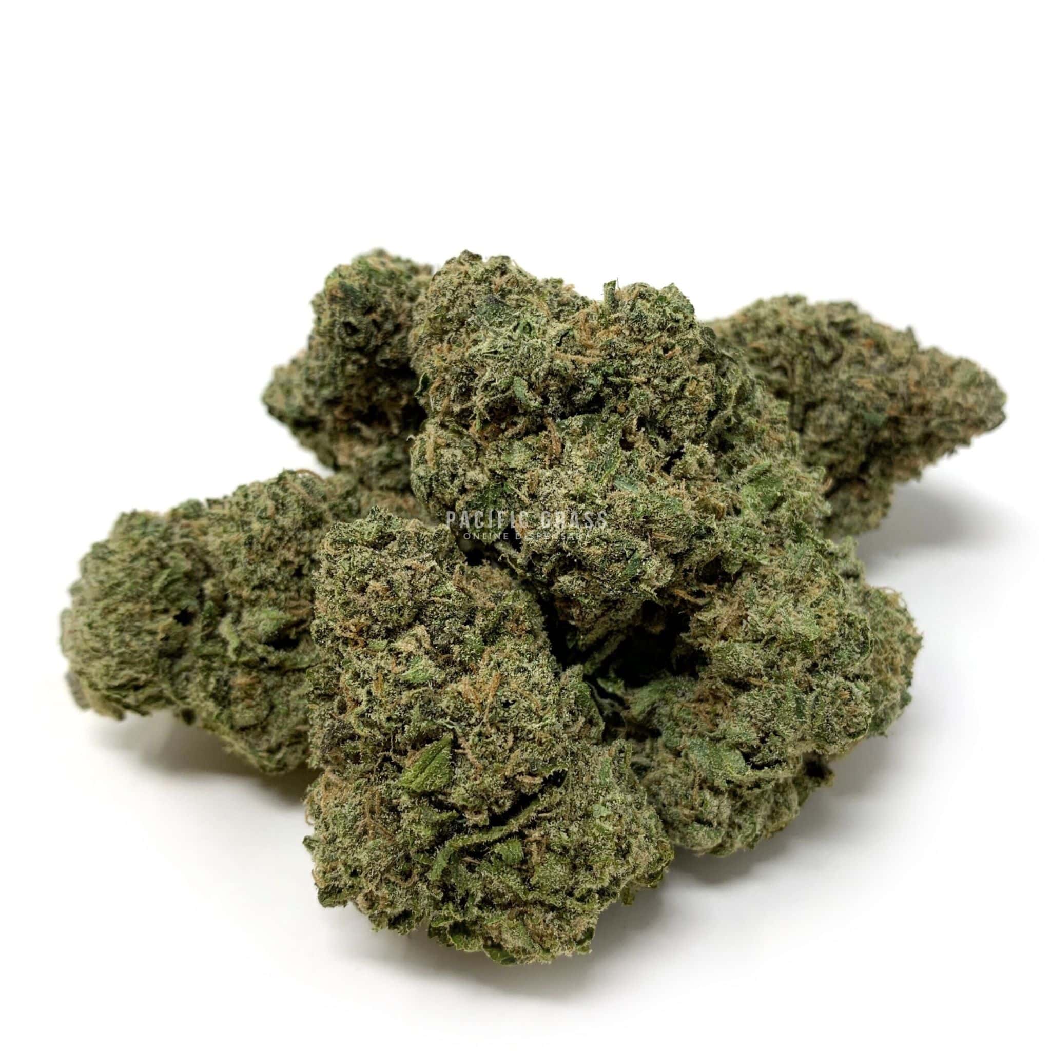 Blue Gelato