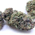Double Purple Pie
