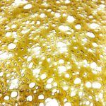 Chocolope Shatter