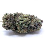 Double Purple Pie