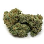 Orange Kush