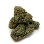 Chemo