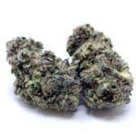 Double Purple Pie
