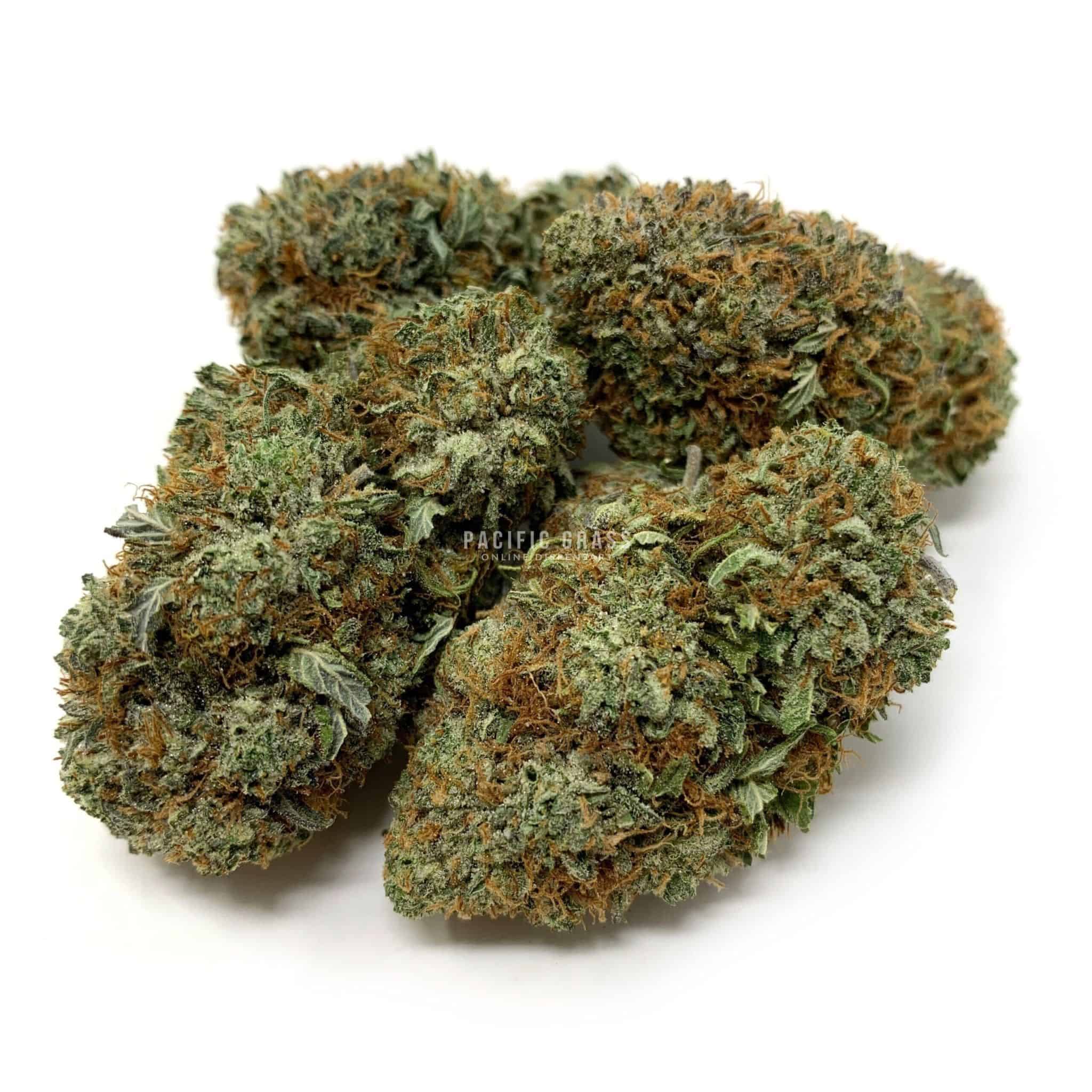 Chemo