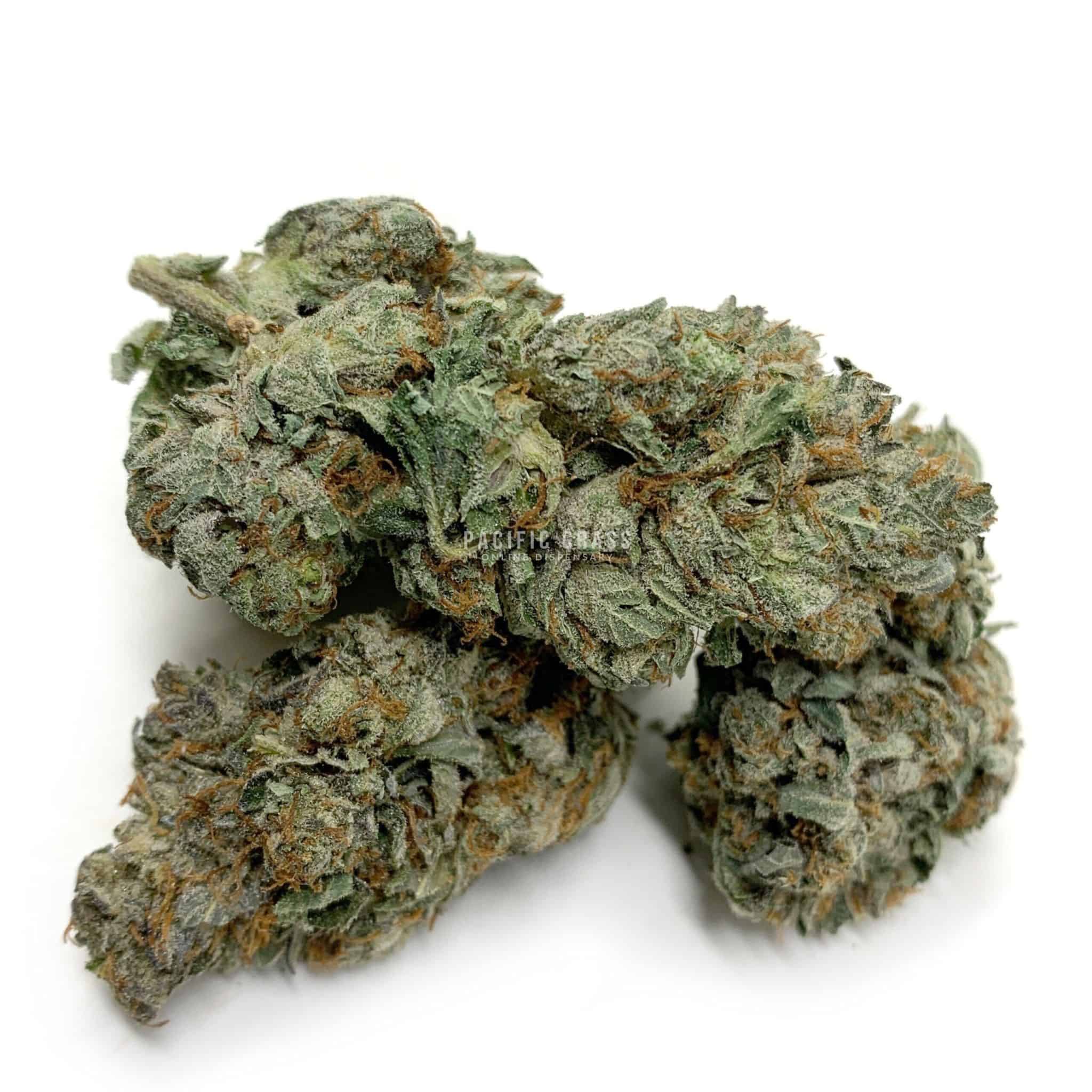 Quantum Kush