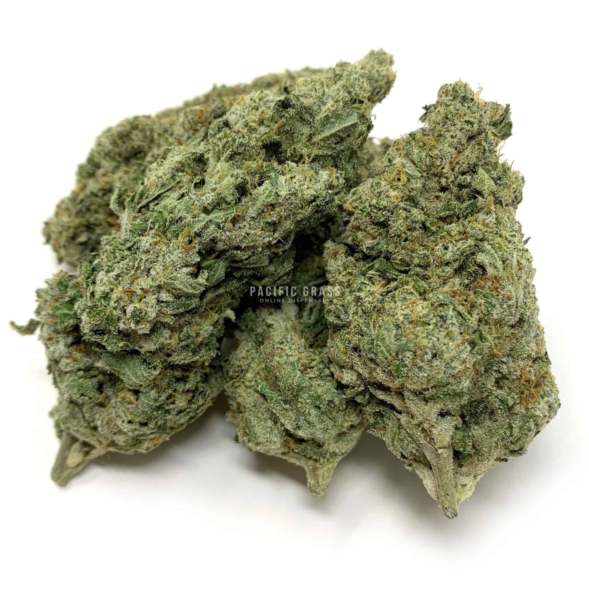 Snow White