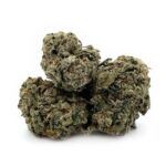 Jet Fuel