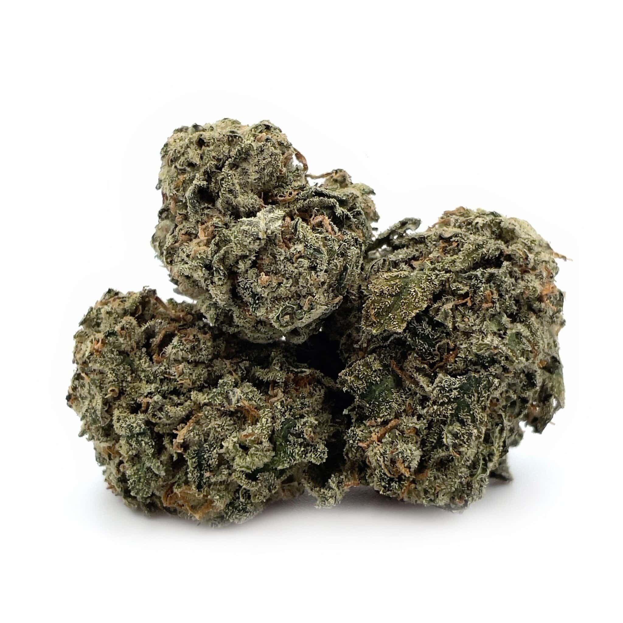 Jet Fuel
