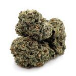 Jet Fuel