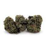 Jet Fuel
