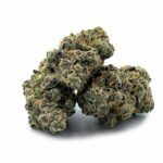 Enigma Extracts - Jet A