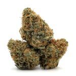 Key Lime Pie