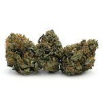 King Kush