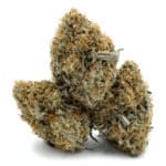 Kush Berry