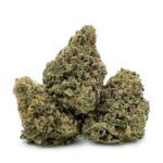 Lemon Skunk