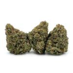Lemon Skunk