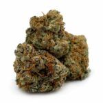 Mango Durban