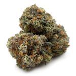 Master Kush