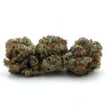 Master Kush
