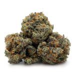 Master Kush