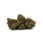 Pink Bubba