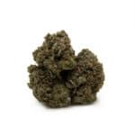 Pink Bubba
