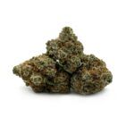Pink Rockstar