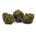 Purple Afghani