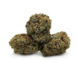 Purple Afghani