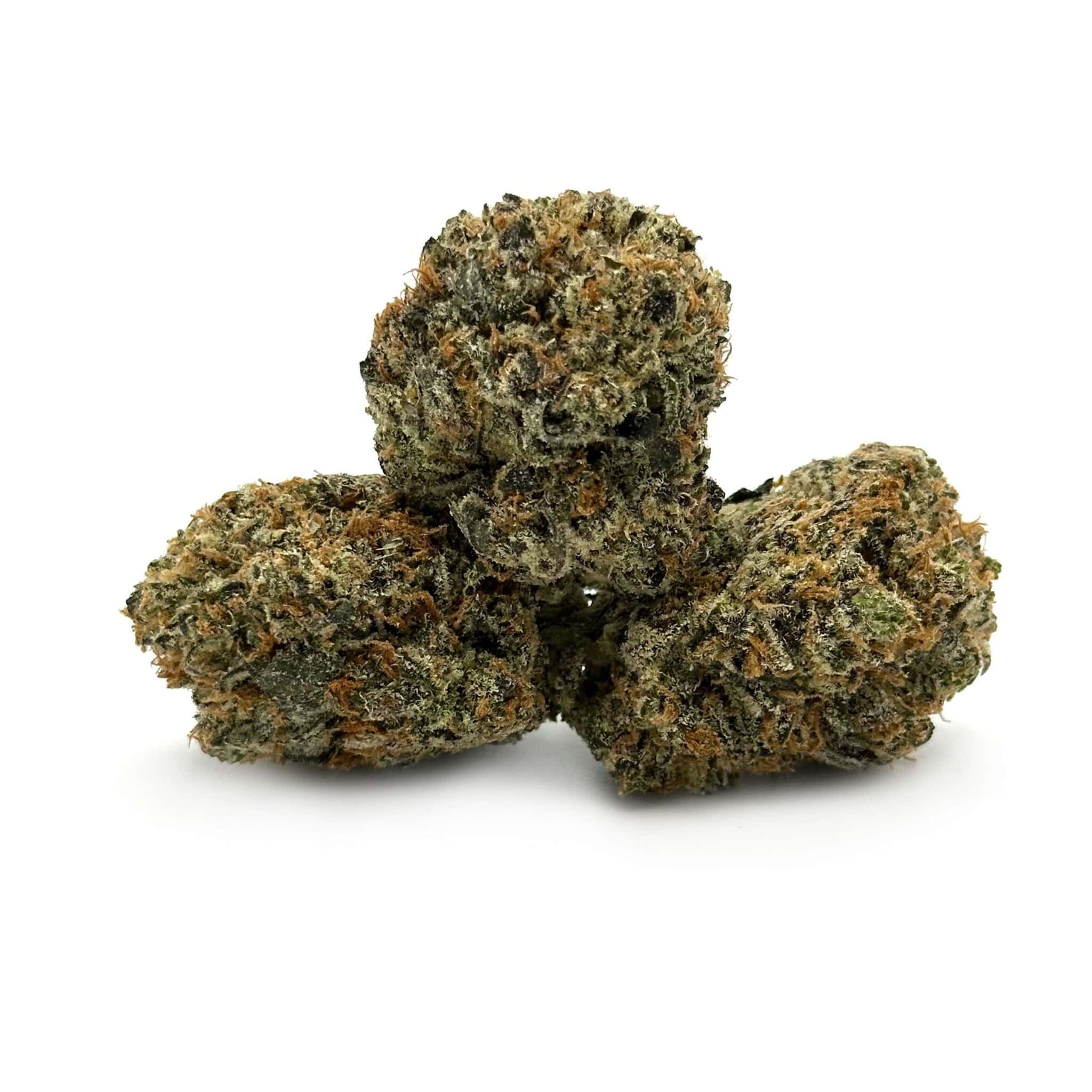 Purple Afghani