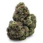 Pink Gas