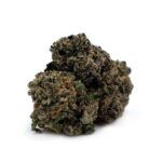 Purple Bud
