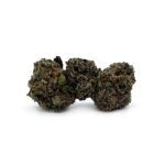Purple Bud