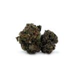 Purple Bud