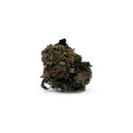 Purple Bud