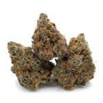Pre98 Blueberry