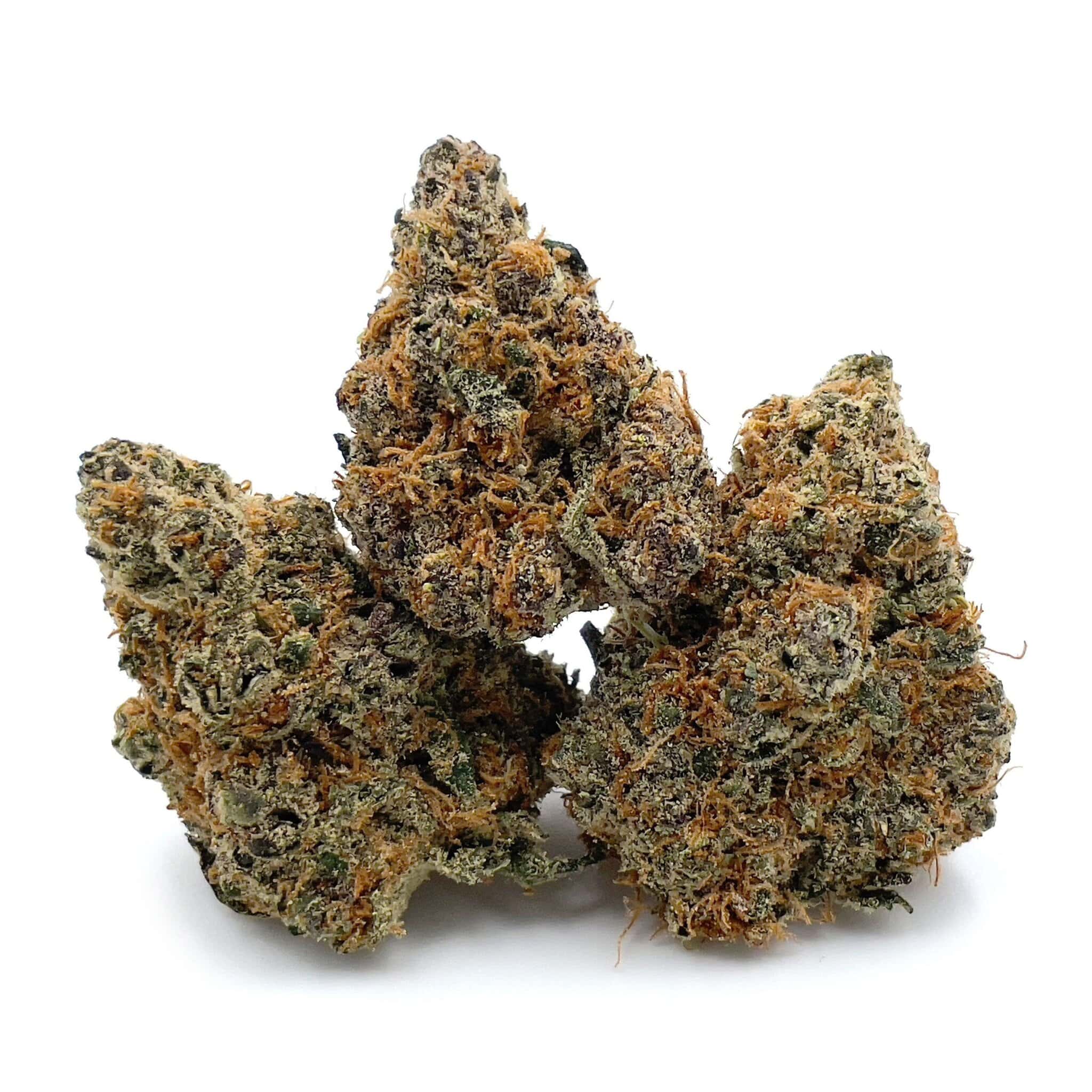 Pre98 Blueberry