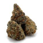 Pre98 Blueberry