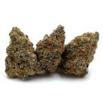 Pre98 Blueberry