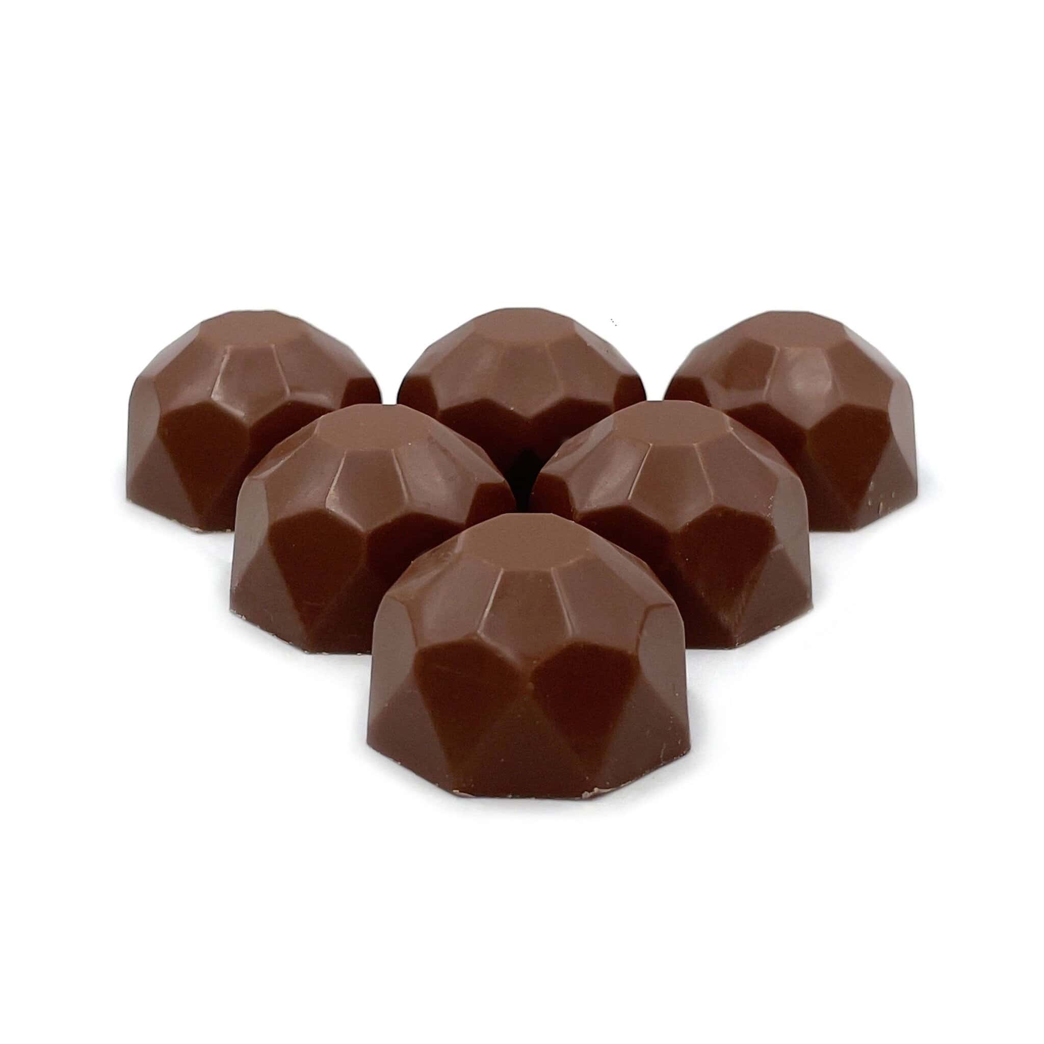 Psilo Life Mushroom Extracts - Chocolates